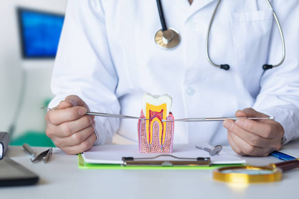 Best Emergency Orthodontic Services in Hasley Nyon, CA
